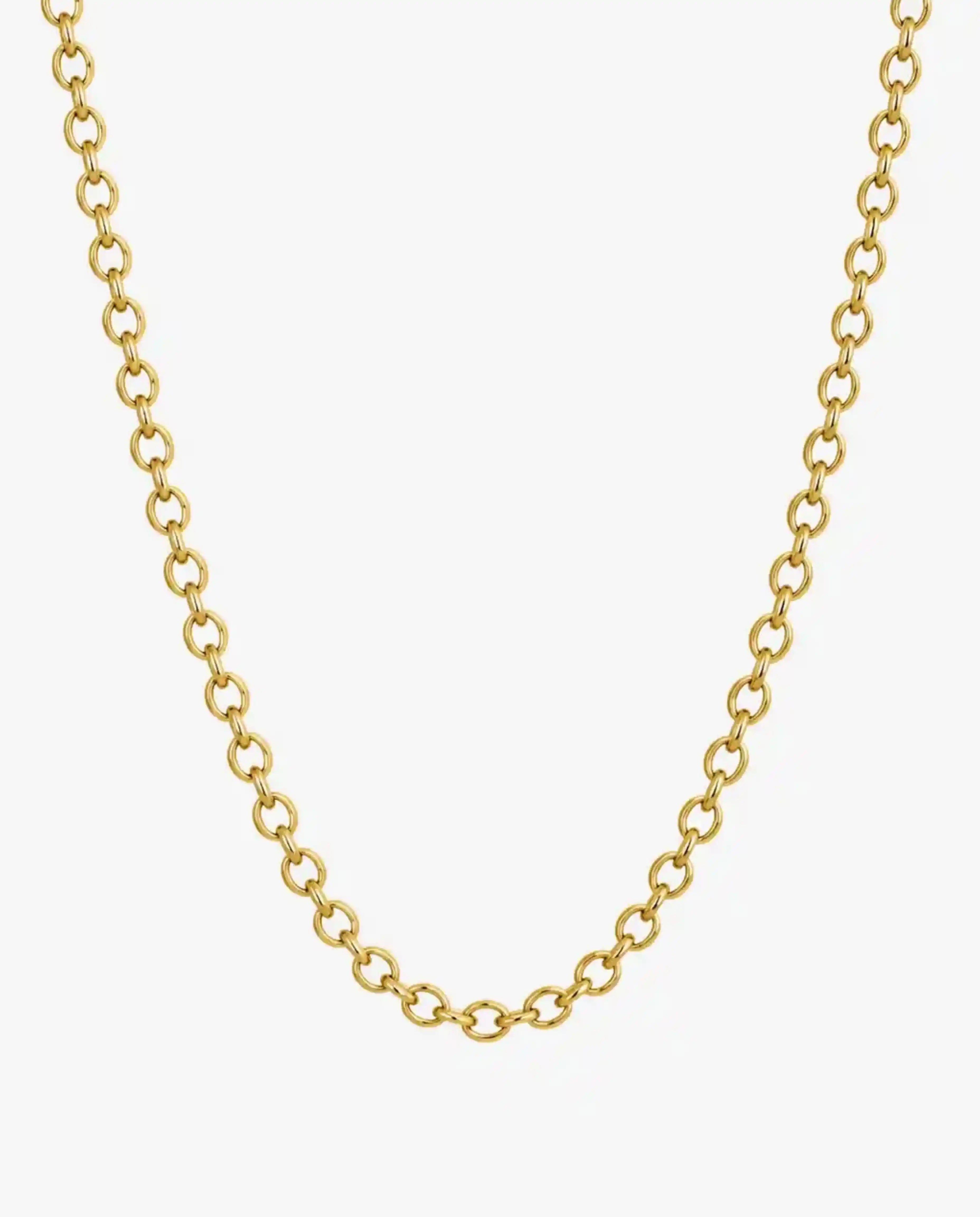Bold Rolo Chain