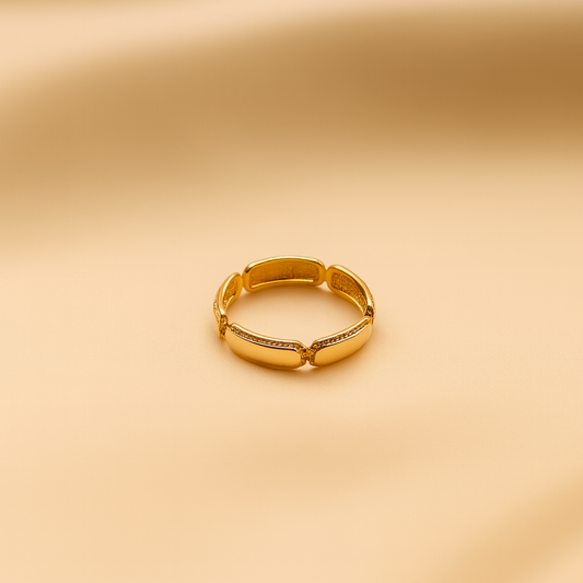 Segment Ring