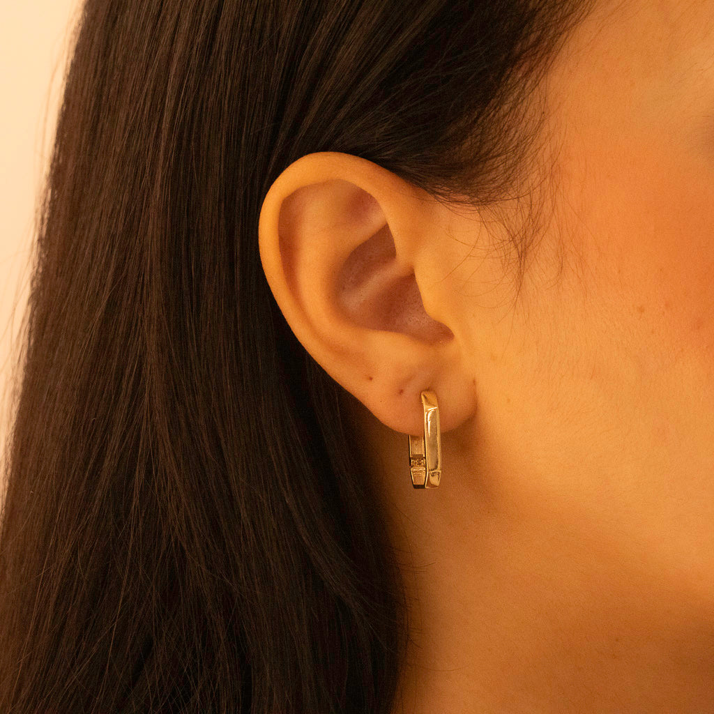 Extra Long Oval Hoops