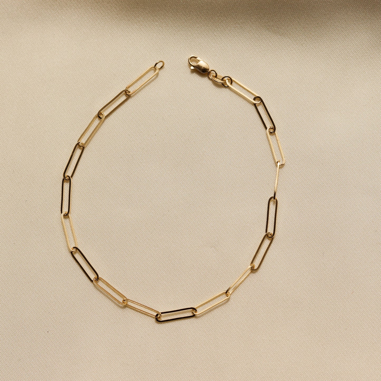 Large Paperclip Anklet