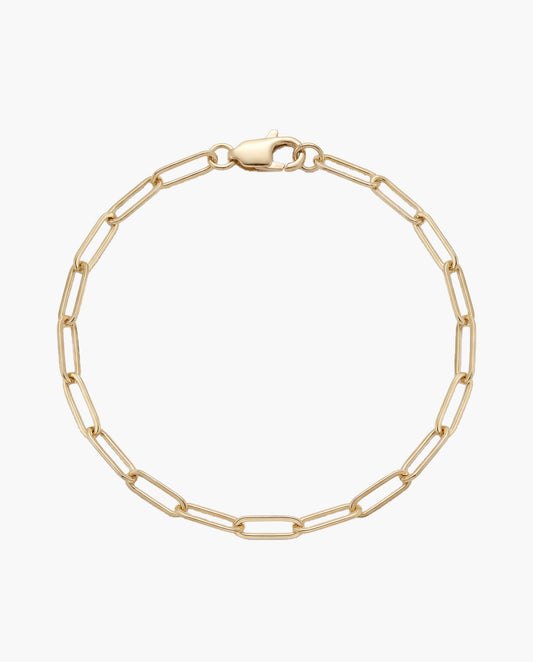 Large Paperclip Anklet