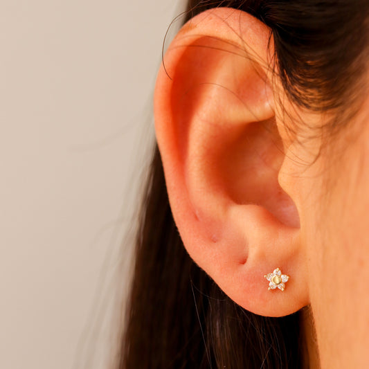 Tiny CZ Star Stud Earrings